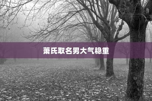 萧氏取名男大气稳重