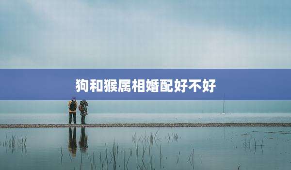 狗和猴属相婚配好不好