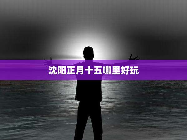 沈阳正月十五哪里好玩