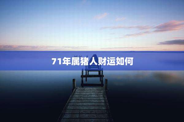 71年属猪人财运如何