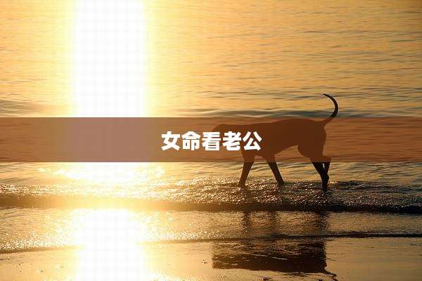 女命看老公