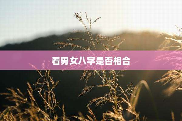 看男女八字是否相合