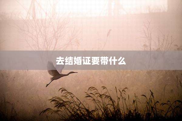 去结婚证要带什么