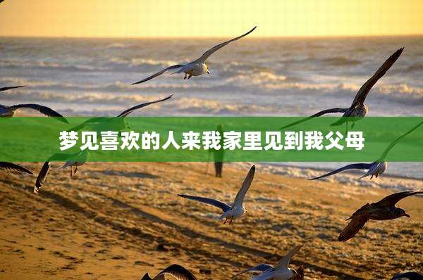 梦见喜欢的人来我家里见到我父母