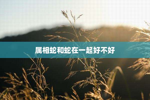 属相蛇和蛇在一起好不好