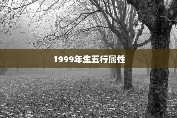 1999年生五行属性
