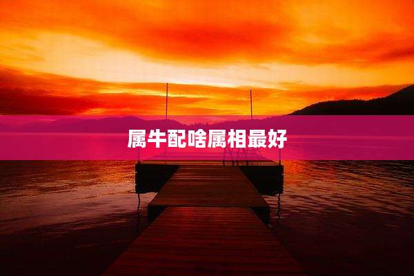 属牛配啥属相最好