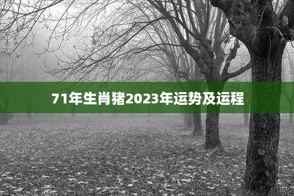 71年生肖猪2023年运势及运程