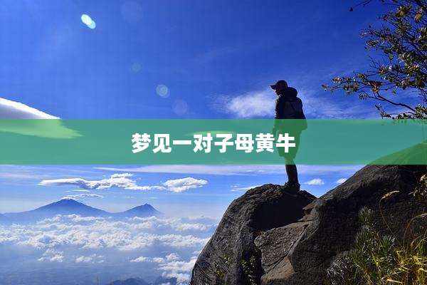 梦见一对子母黄牛