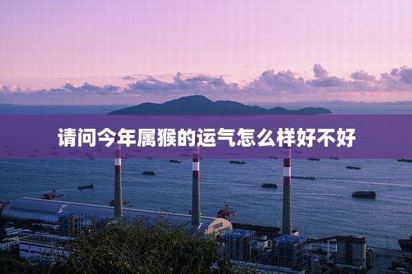 请问今年属猴的运气怎么样好不好