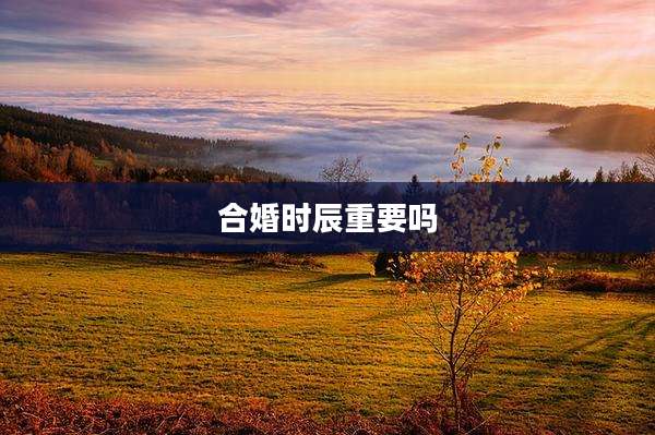 合婚时辰重要吗