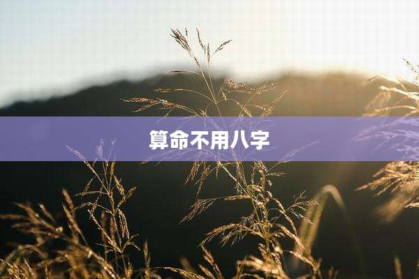 算命不用八字