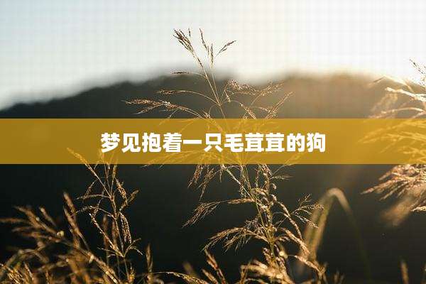 梦见抱着一只毛茸茸的狗