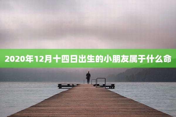 2020年12月十四日出生的小朋友属于什么命