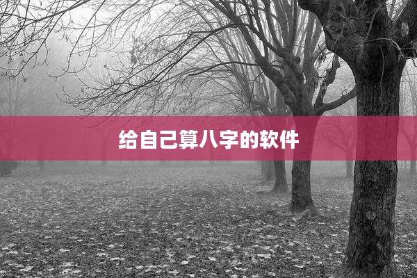 给自己算八字的软件