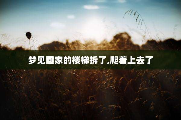 梦见回家的楼梯拆了,爬着上去了