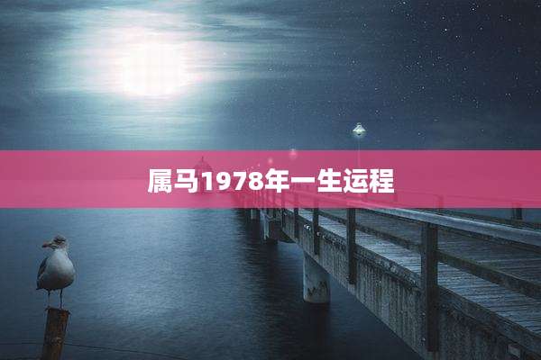 属马1978年一生运程