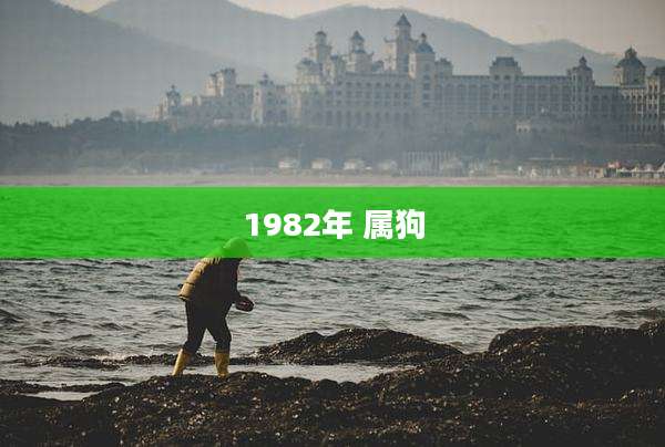1982年 属狗