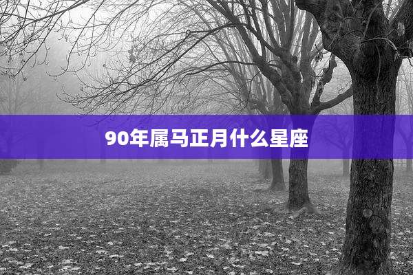 90年属马正月什么星座