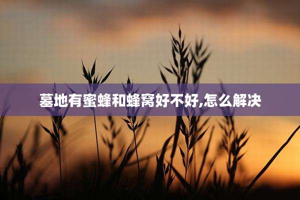 墓地有蜜蜂和蜂窝好不好,怎么解决