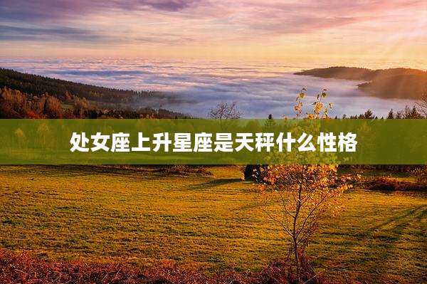 处女座上升星座是天秤什么性格