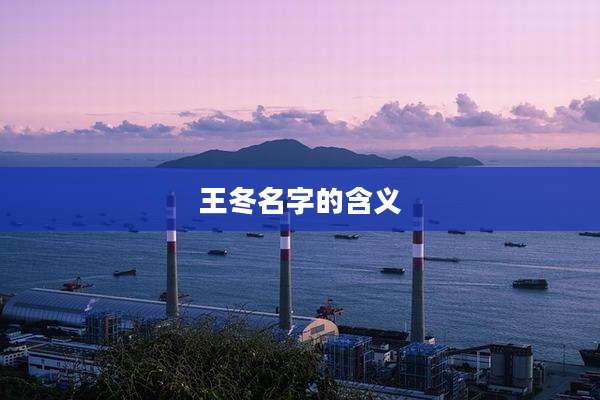 王冬名字的含义