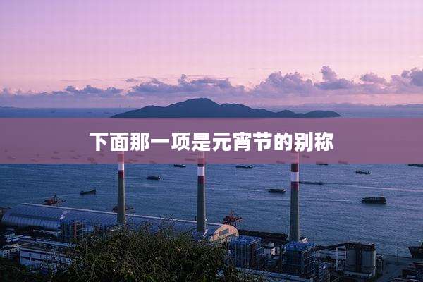下面那一项是元宵节的别称