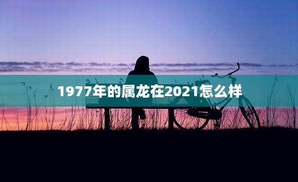 1977年的属龙在2021怎么样
