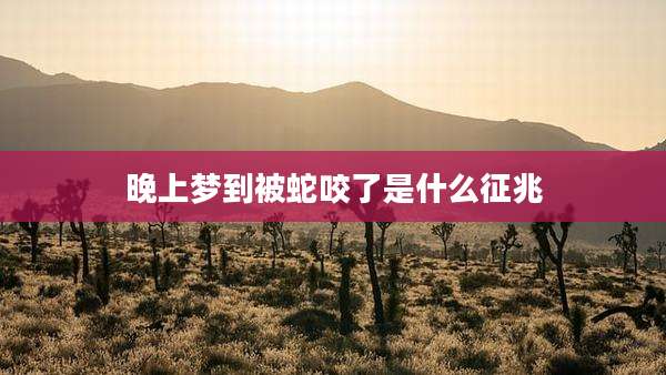 晚上梦到被蛇咬了是什么征兆
