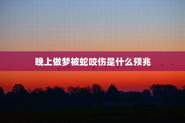 晚上做梦被蛇咬伤是什么预兆