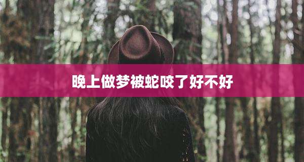 晚上做梦被蛇咬了好不好