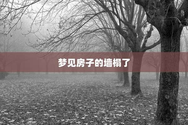 梦见房子的墙榻了