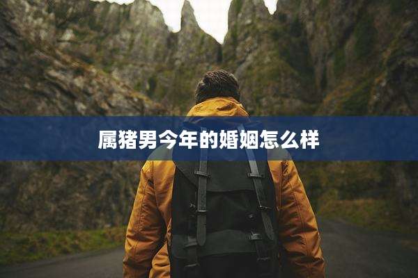 属猪男今年的婚姻怎么样