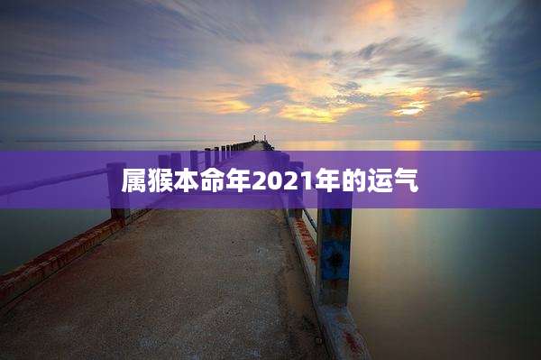 属猴本命年2021年的运气