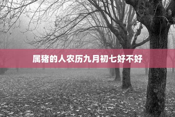 属猪的人农历九月初七好不好