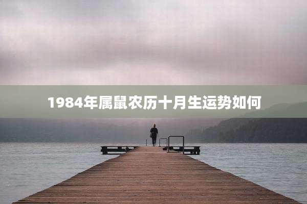 1984年属鼠农历十月生运势如何