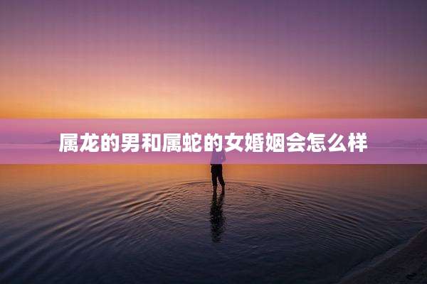 属龙的男和属蛇的女婚姻会怎么样