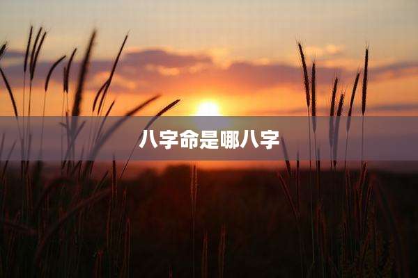 八字命是哪八字