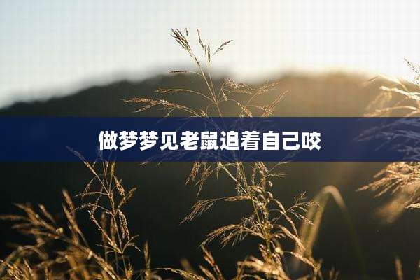 做梦梦见老鼠追着自己咬