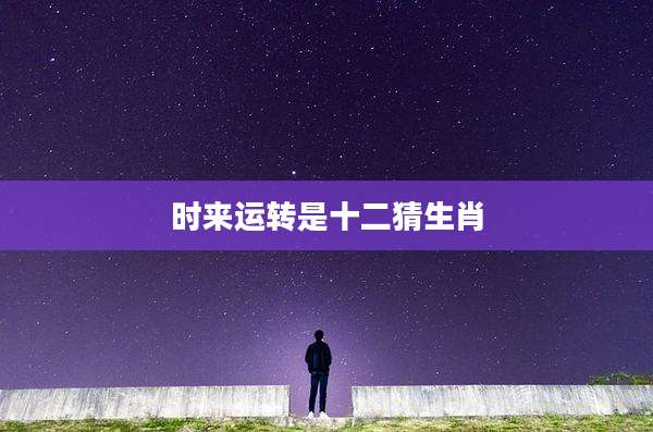 时来运转是十二猜生肖