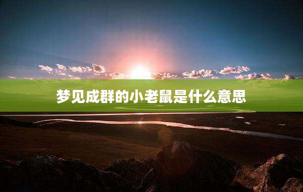 梦见成群的小老鼠是什么意思