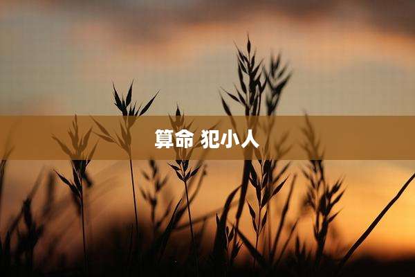 算命 犯小人