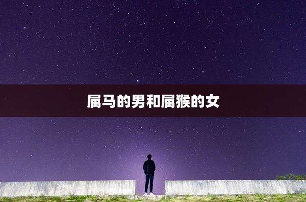 属马的男和属猴的女