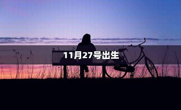 11月27号出生