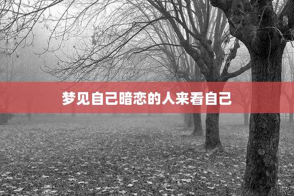 梦见自己暗恋的人来看自己
