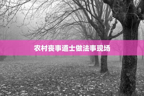 农村丧事道士做法事现场