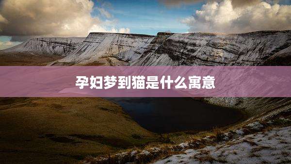 孕妇梦到猫是什么寓意