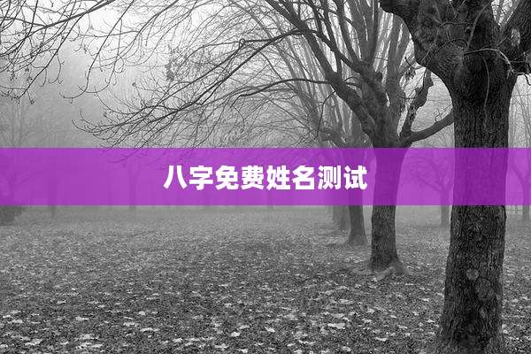 八字免费姓名测试