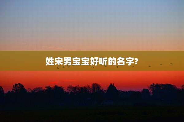 姓宋男宝宝好听的名字?