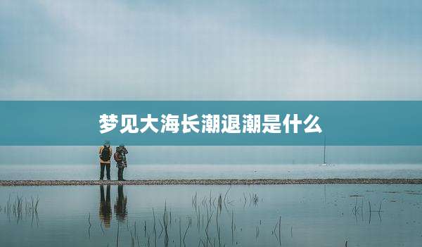 梦见大海长潮退潮是什么